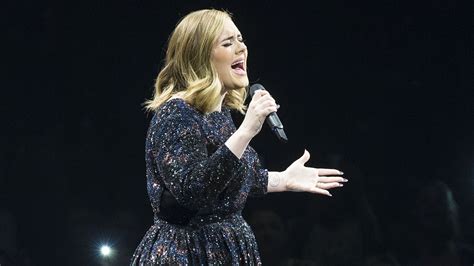 adele burberry|Adele's Burberry Tour Wardrobe: How the One Dress Happened.